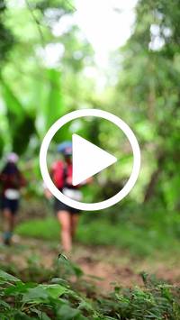 BIB:  <button type="button" onclick="openModal(26823941)" class="btn btn-primary btn-sm float-right" data-toggle="modal" data-target=".modal-high-quality">
                <i class="fa fa-download"></i> Download
                </button>